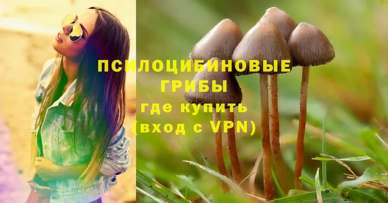 Галлюциногенные грибы Magic Shrooms  Калининск 